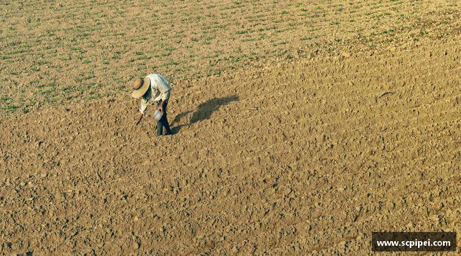 K1体育最新版超越极限，拥抱挑战